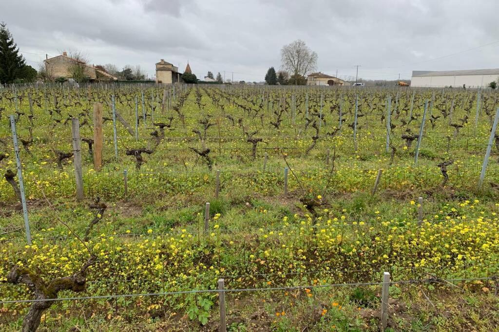 Chateau Roseyrol Proche Saint-Emilion Εξωτερικό φωτογραφία