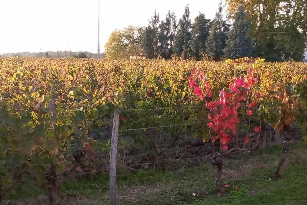 Chateau Roseyrol Proche Saint-Emilion Εξωτερικό φωτογραφία